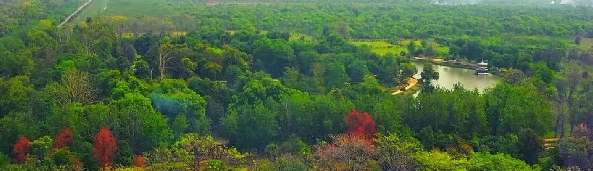 Aerial view over the Changa Manga plantation, with Lunar Lake and the lake pavilion among the trees