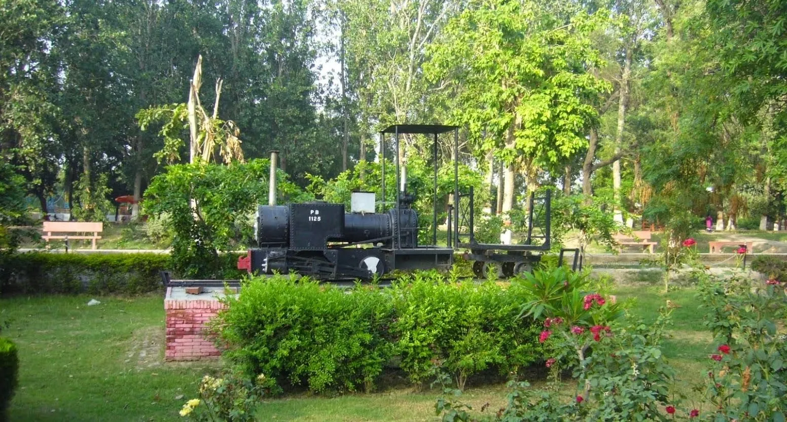 Preserved forestry steam locomotive PB 1126 standing among trees and rose beds in the forest park